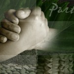 Partnerships Partnerships