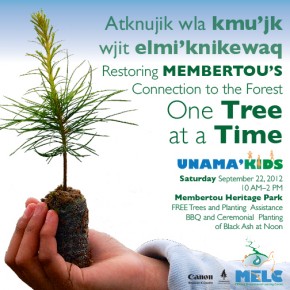 One Tree at a Time One Tree at a Time