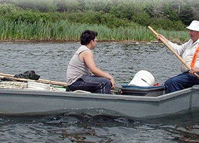 SHELLFISH HARVESTING BAN SHELLFISH HARVESTING BAN