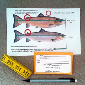 UINR is Looking for Scientific Data on the SALMON Harvest UINR is Looking for Scientific Data on the SALMON Harvest