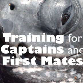 Training for CAPTAINS and FIRST MATES Training for CAPTAINS and FIRST MATES