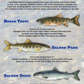 Every Fish Matters! Every Fish Matters!