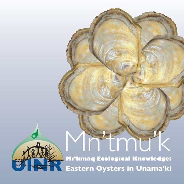 oyster-mek-coverweb