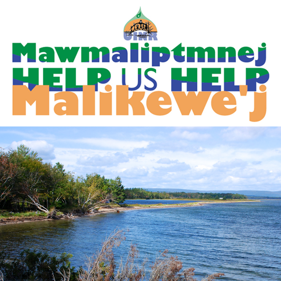 Help Us Help Malikewe'j