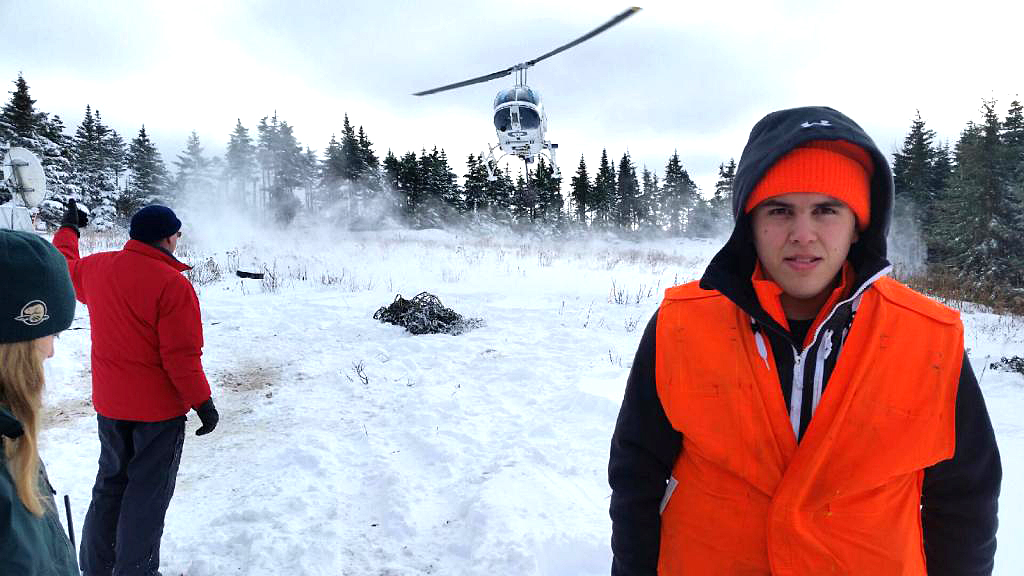 Moose Harvest in National Park Meets Goal