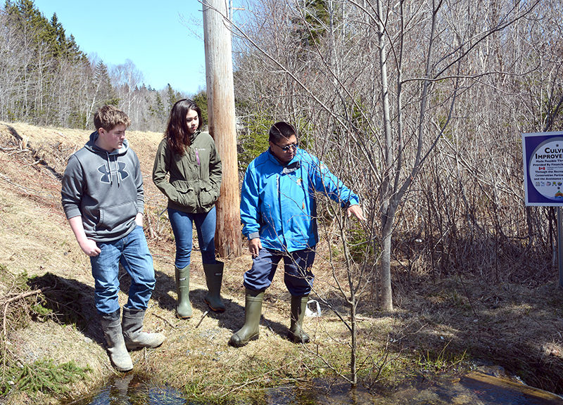 Culvert Remediation