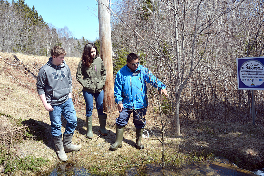 Culvert Remediation