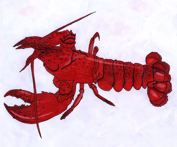 Commercial Fisheries in Unamaki: Jakejk/Lobster