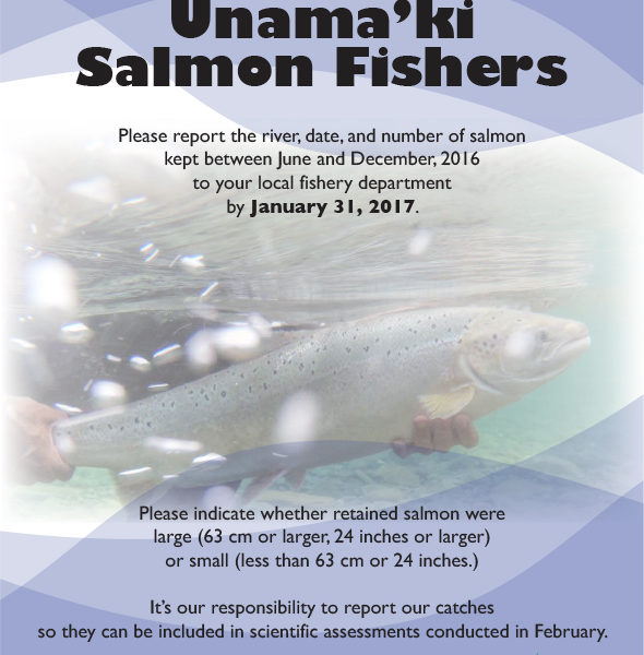 Attention Unama’ki Salmon Fishers