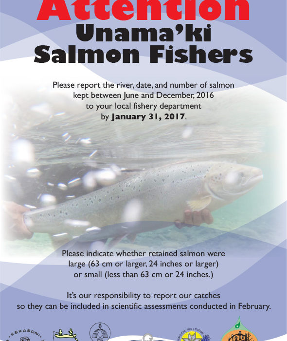 Attention Unama’ki Salmon Fishers