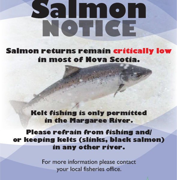 Plamu/ Salmon NOTICE