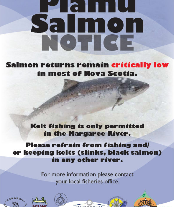 Plamu/ Salmon NOTICE