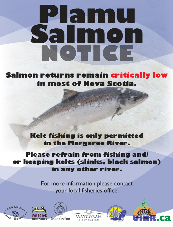 Plamu/ Salmon NOTICE