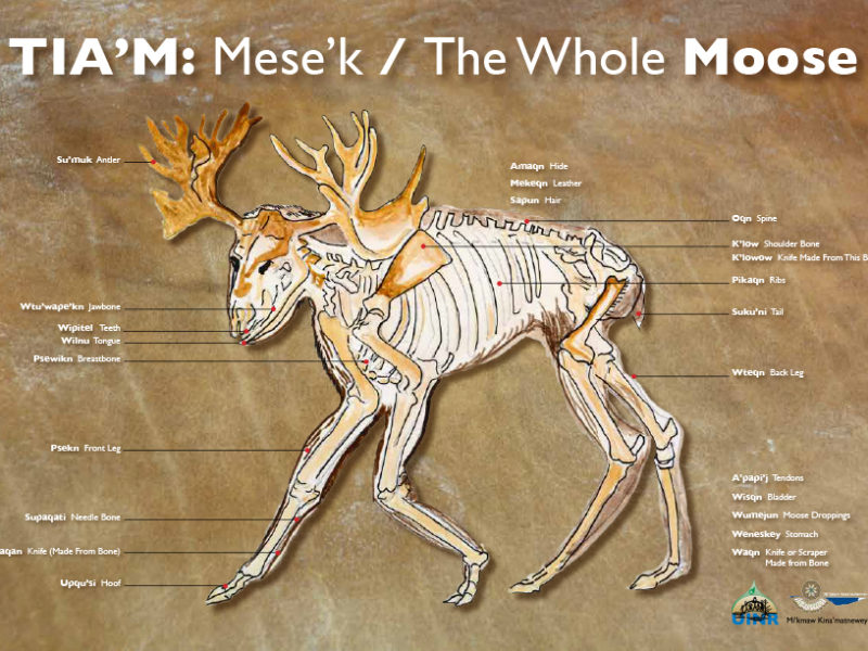 TIA’M: Mese’k / The Whole MOOSE