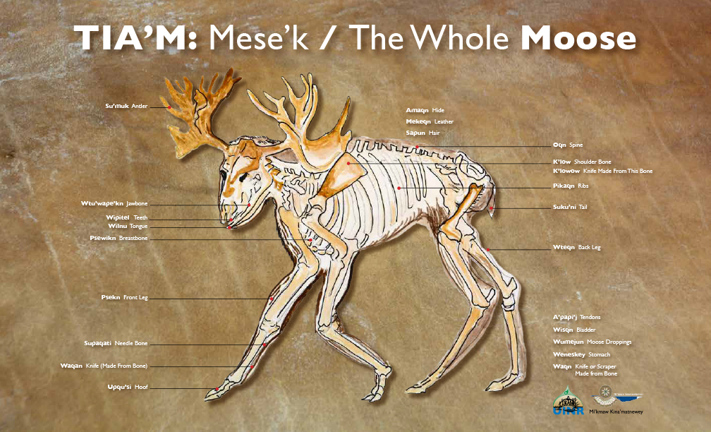 TIA’M: Mese’k / The Whole MOOSE