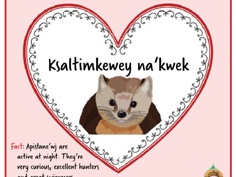 We love Unama’ki species, and we know you love them too!