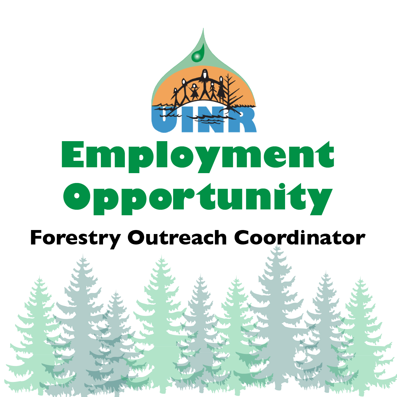 Job Opportunity: Forestry Outreach Coordinator